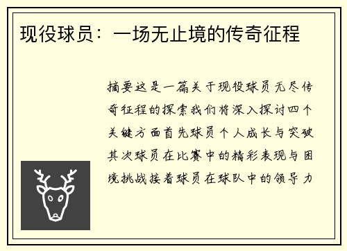 现役球员：一场无止境的传奇征程