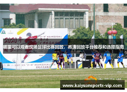 哪里可以观看现场足球比赛回放，高清回放平台推荐和选择指南
